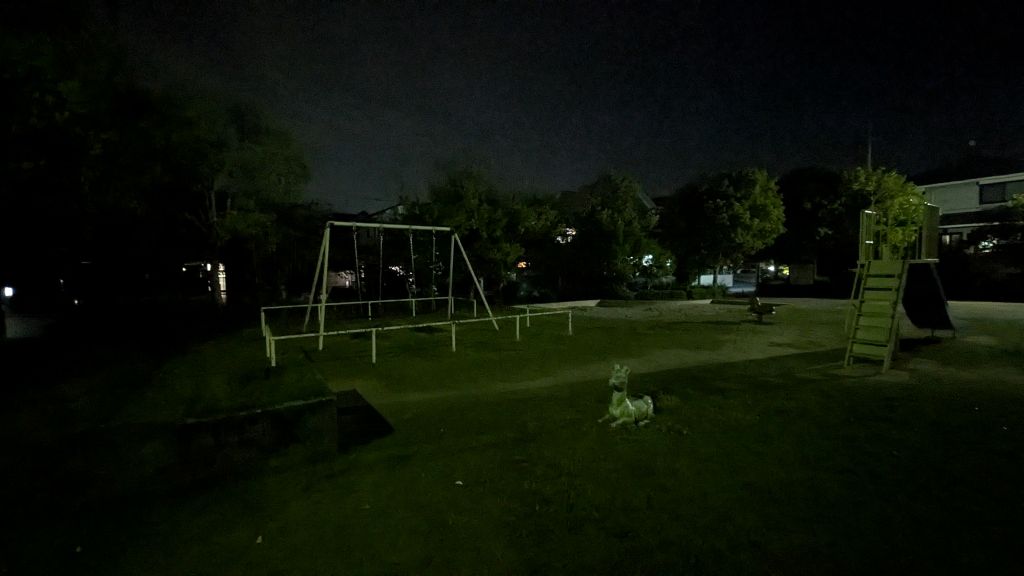 pixel9aの超広角カメラでナイトモードを使用せず撮影した夜の公園