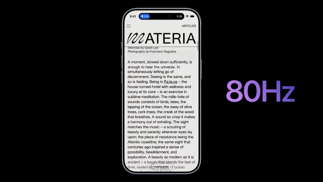iPhone 17 80Hz