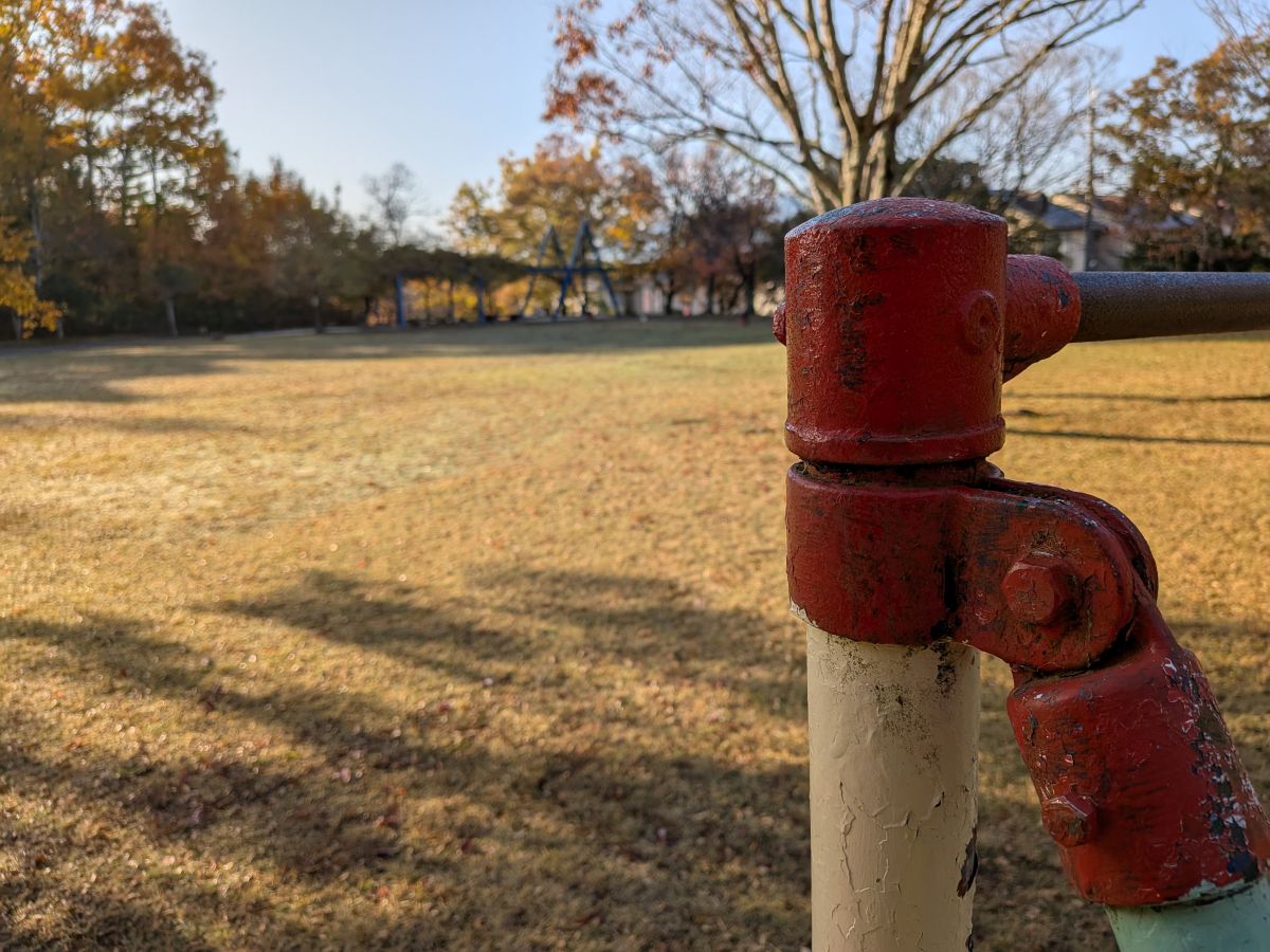 Pixel 9a カメラ撮影 オートフォーカス