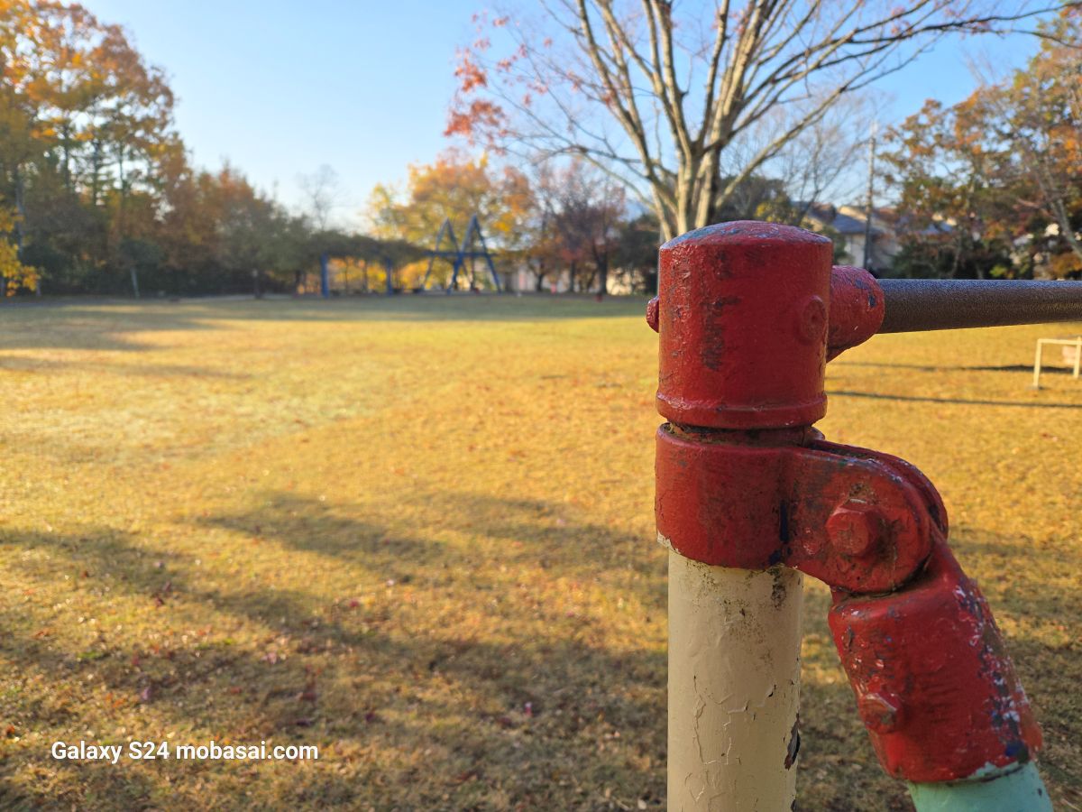 Galaxy S24 カメラ撮影 オートフォーカス