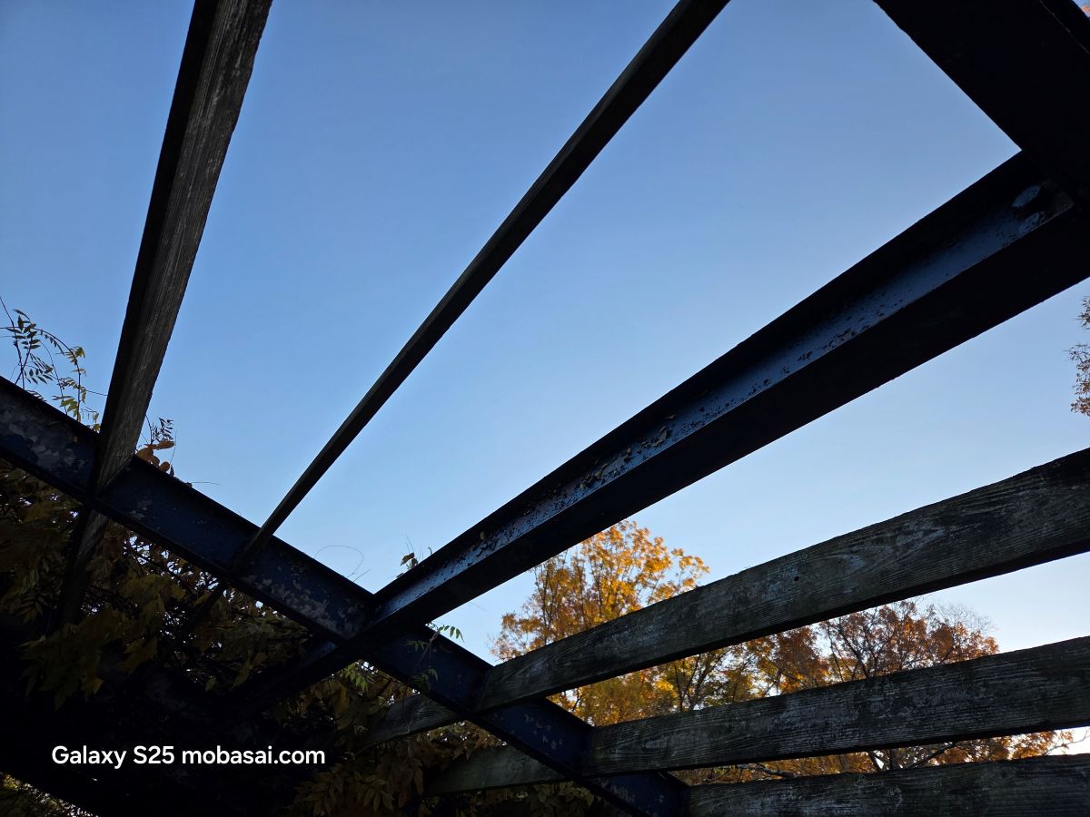 Galaxy S25 カメラ撮影 暗所