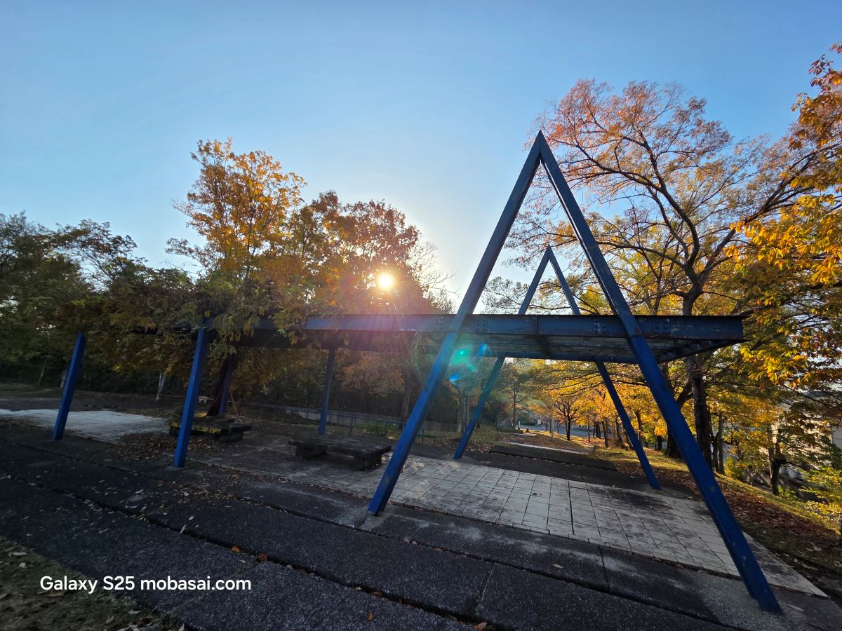 Galaxy S25 カメラ撮影 超広角