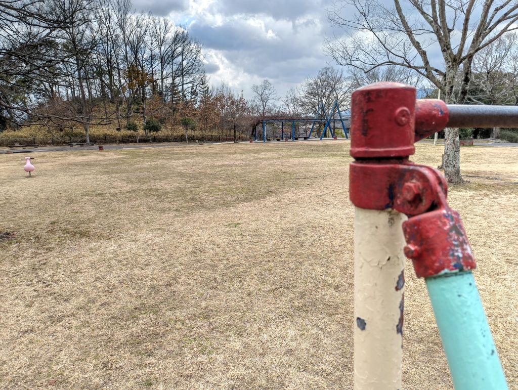 Nothing Phone (3a) lite オートフォーカス