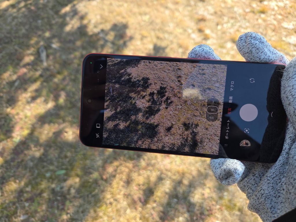 Nothing Phone (3a) lite 撮影イメージ