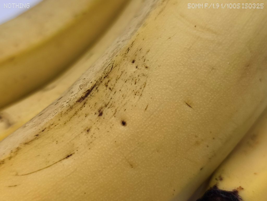 Nothing Phone (3a) lite 2倍ズーム