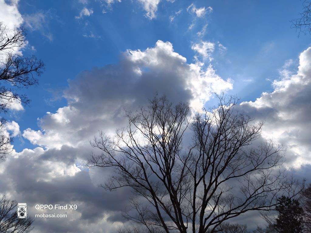 OPPO Find X9 空撮影