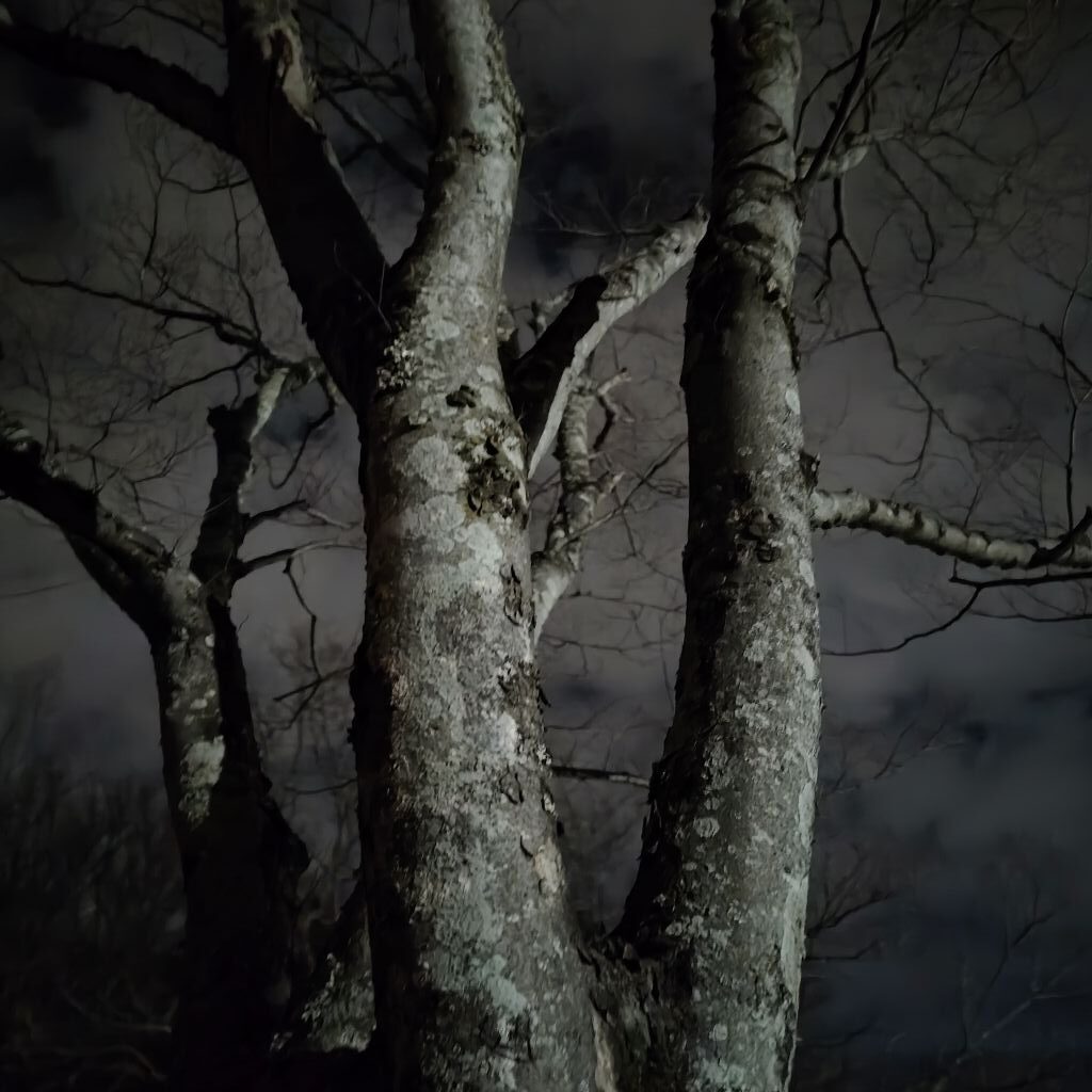 Xperia 10 VII 夜景撮影 メイン