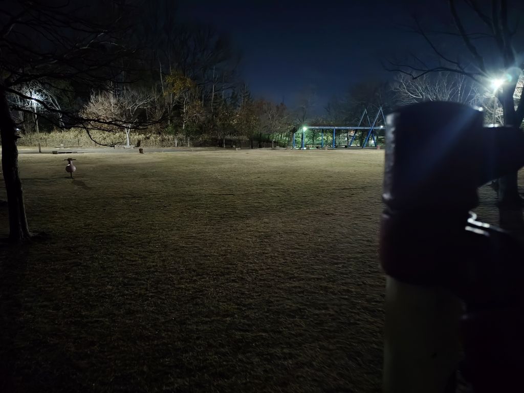 Xperia 10 VII 夜景撮影