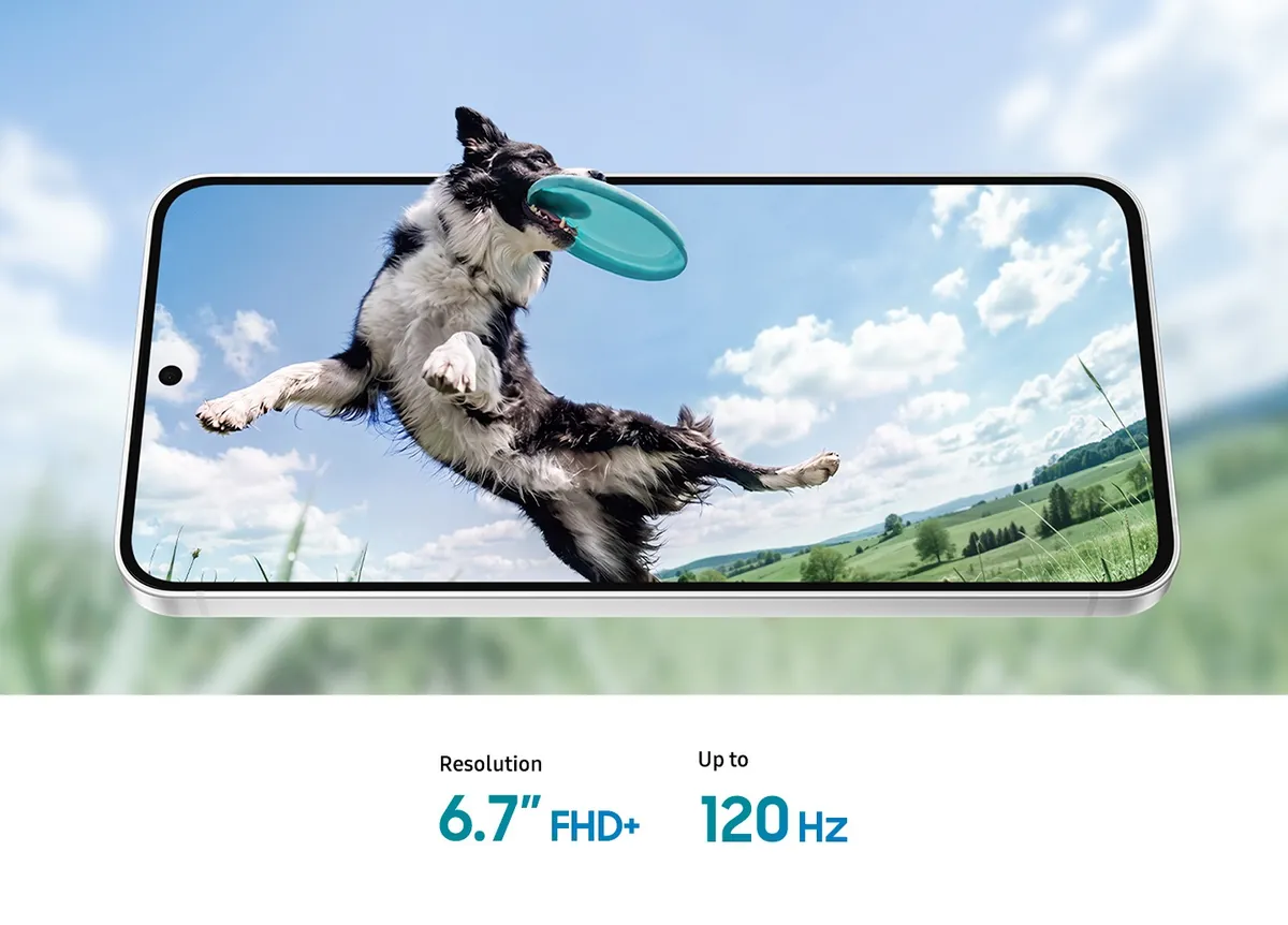 Galaxy S26 FEのディスプレイ 6.7インチ FHD+ 120Hz