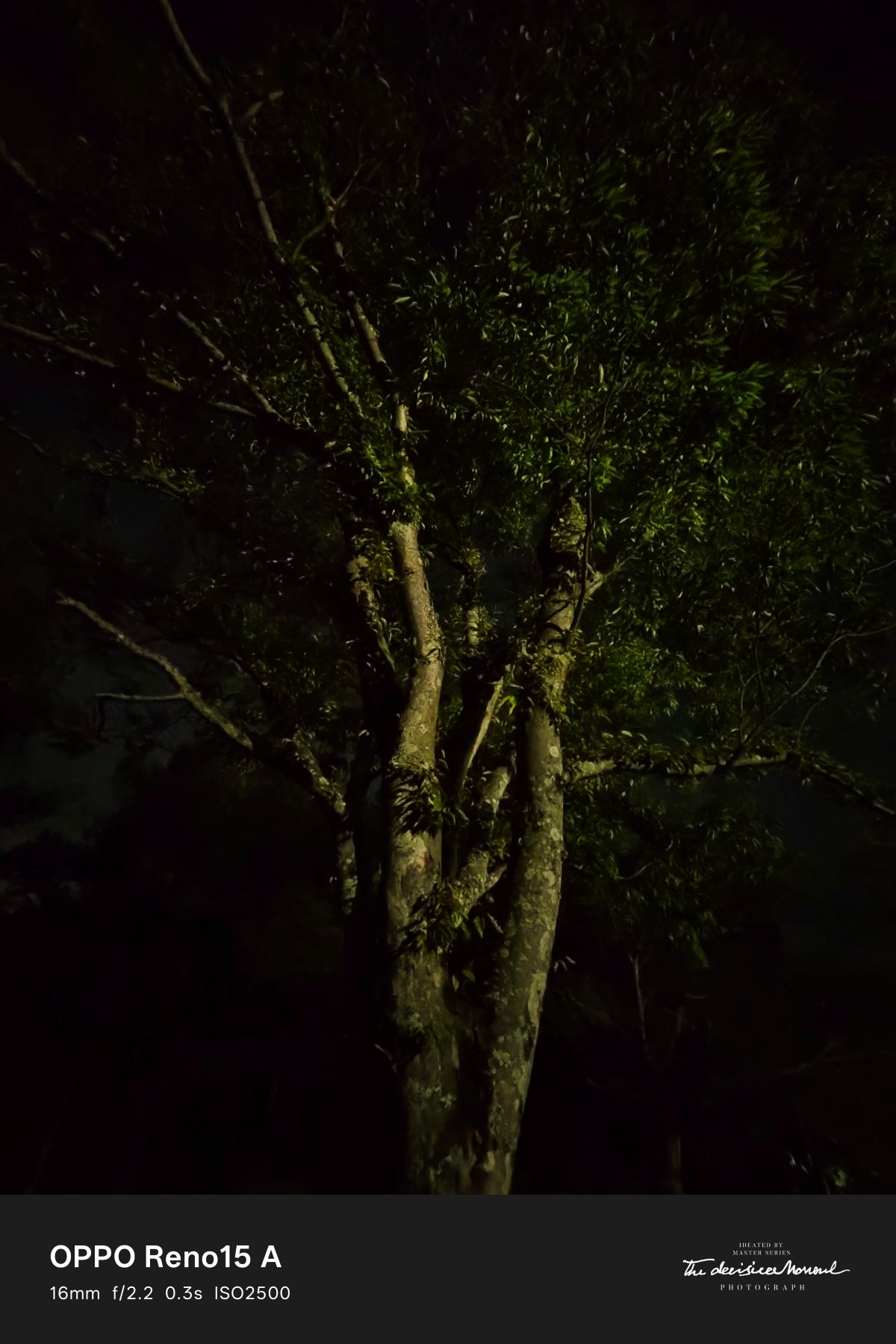 OPPO Reno15 A CPH2801 夜景撮影4