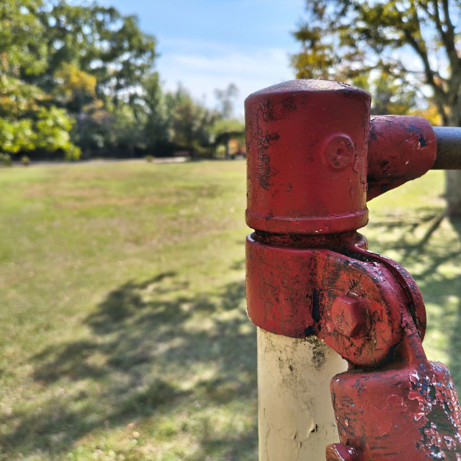 arrows Alpha メインカメラ オートフォーカス 1