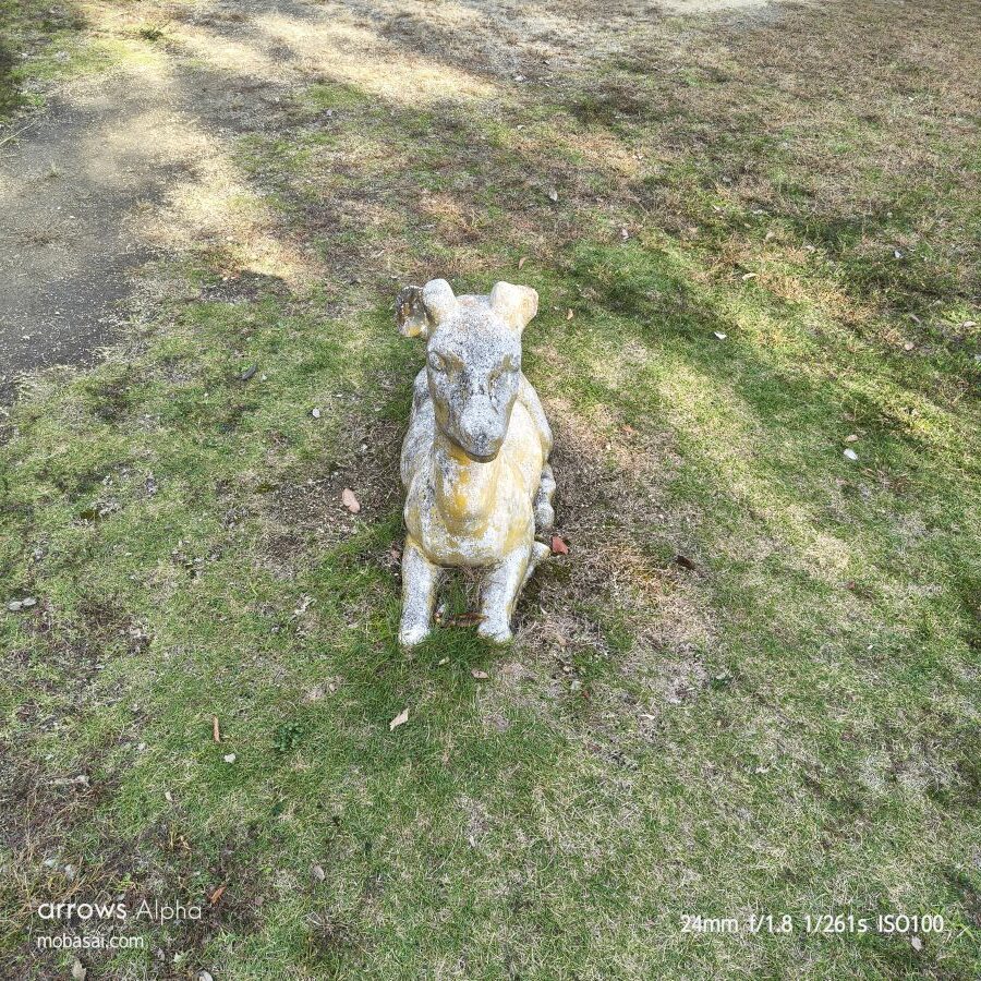 arrows Alpha ズーム撮影 1x